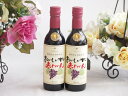 ハーフボトル2本セット(おいしい甘口赤わいん) 360ml×2本