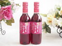 ハーフボトル2本セット(山梨県産葡萄100% マスカットベーリーAライトボディ 赤ワイン) 360ml×2本