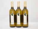 イタリア白ワイン チェヴィコ ブルーサ ビアンコ 750ml×3