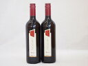 イタリア赤ワイン チェヴィコ ブルーサ ロッソ 750ml×2