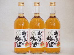 紀州産南高梅100％ おばあちゃんの梅酒 中埜酒造 720ml×3