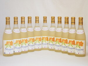 北海道産葡萄使用 完熟ナイアガラ白 甘口 720ml×11本