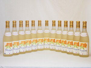 北海道産葡萄使用 完熟ナイアガラ白 甘口 720ml×13本