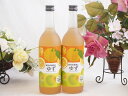 ゆず梅 酒和歌山県産南高梅使用 紀州の梅酒とゆずalc.12% 720ml×2本