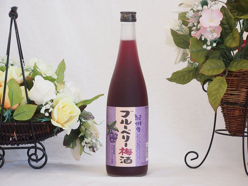 紀州のブルーベリー梅酒 中野BC(和歌山県)720ml×1本紀州のブルーベリー梅酒 中野BC(和歌山県)720ml×1本