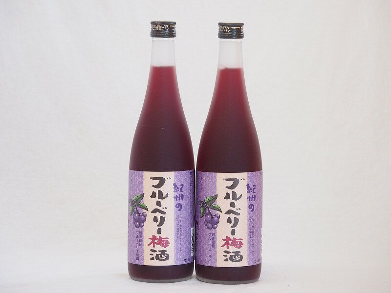 紀州のブルーベリー梅酒 中野BC(和歌山県)720ml×2本