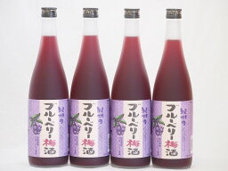 紀州のブルーベリー梅酒 中野BC(和歌山県)720ml×4本