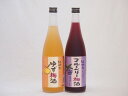 果物梅酒セット ブルーベリー梅酒×ゆず梅酒 中野BC(和歌山県)720ml×2本果物梅酒セット ブルーベリー梅酒×ゆず梅酒 中野BC(和歌山県)720ml×2本