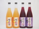 果物梅酒セット ブルーベリー梅酒×ゆず梅酒 中野BC(和歌山県)720ml×4本果物梅酒セット ブルーベリー梅酒×ゆず梅酒 中野BC(和歌山県)720ml×4本