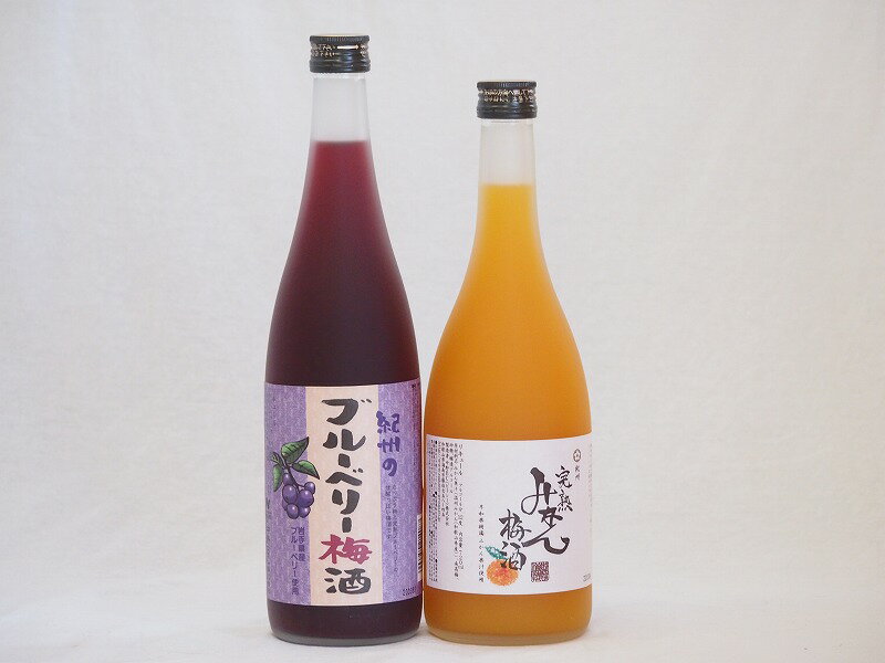 果物梅酒セット ブルーベリー梅酒×完熟みかん梅酒 中野BC(和歌山県)720ml×2本