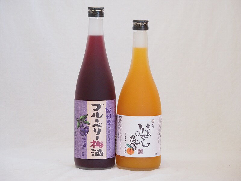 果物梅酒セット ブルーベリー梅酒×完熟みかん梅酒 中野BC(和歌山県)720ml×2本