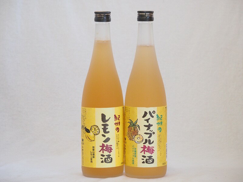 果物梅酒セット レモン×パイナップル 中野BC(和歌山県)720ml×2本果物梅酒セット レモン×パイナップル 中野BC(和歌山県)720ml×2本