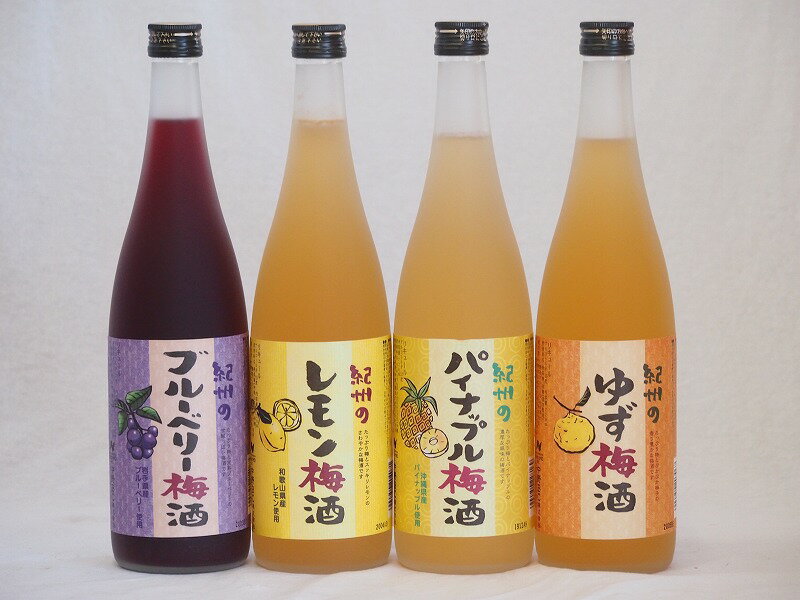 果物梅酒セット レモン×パイナップル×ゆず×ブルーベリー 中野BC(和歌山県)720ml×4本果物梅酒セット レモン×パイナップル×ゆず×ブルーベリー 中野BC(和歌山県)720ml×4本