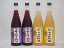 果物梅酒セット パイナップル×ブルーベリー 中野BC(和歌山県)720ml×4本