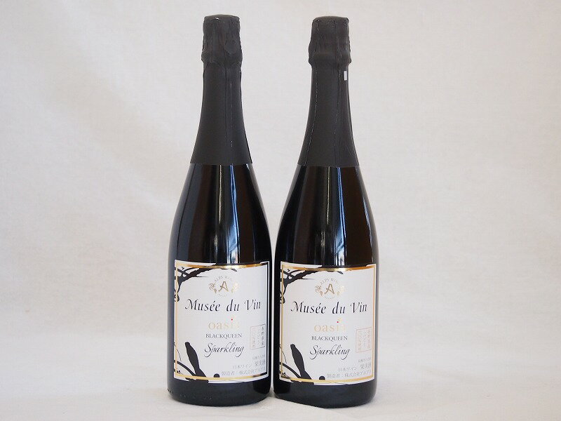 2本セット(長野県産100％辛口スパークリング赤ワイン オアシス ミュゼドゥヴァン ブラッククイーン) 750ml×2本2本セット(長野県産100％辛口スパークリング赤ワイン オアシス ミュゼドゥヴァン ブラッククイーン) 750ml×2本