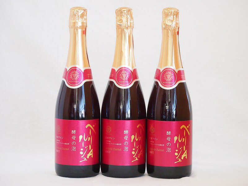 3本セット(山梨県産マスカット・ベーリーA　スパークリング赤ワイン ルージュ 酵母の泡 alc.11%やや辛口) 720ml×3本