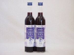 2本セット(果物ワイン グレープ&ブルーベリー alc.4%甘口) 500ml×2本