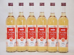 6本セット(果物ワイン アップル alc.4%甘口) 500ml×6本