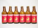 6本セット(尾張名古屋クラフトビール 赤ラベルアルトタイプ金しゃち) 330ml×6本