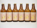 6本セット(尾張名古屋クラフトビール プラチナエールホワイトビール金しゃち) 330ml×6本