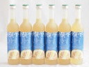 6本セット(九州産さわやかゆずリキュール(宮崎県)) 500ml×6本