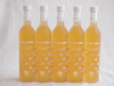 5本セット(フルーツももワイン 高畠ワイナリーalco7度(山形県)) 500ml×5本
