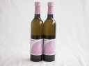 2本セット(極甘の誘惑 日本ワイン極甘甲州 alco10度(山梨県)) 500ml×2本
