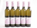 5本セット(極甘の誘惑 日本ワイン極甘甲州 alco10度(山梨県)) 500ml×5本