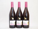 3本セット(チリ赤ワイン アルパカピノ・ノワール) 750ml×3本
