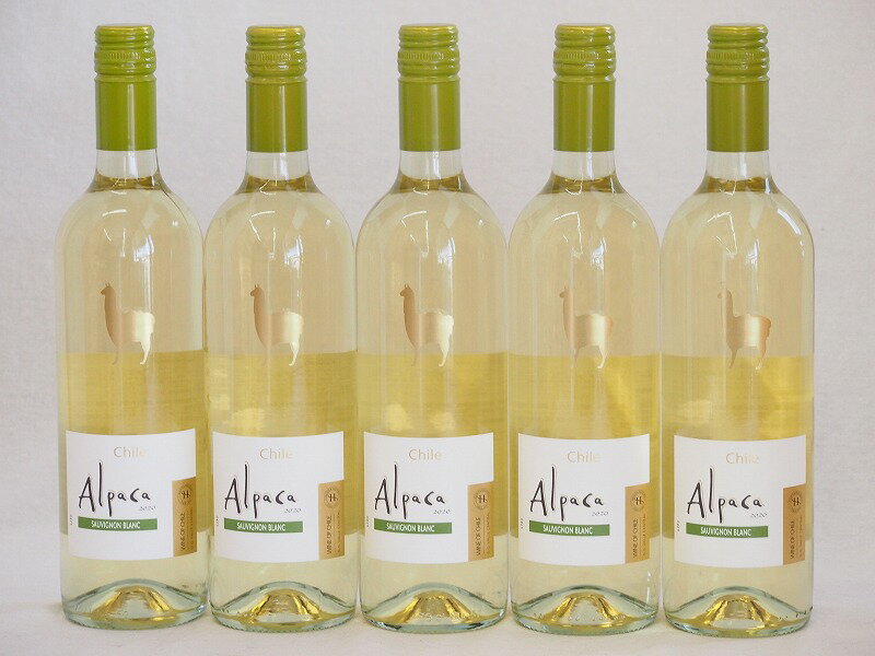 5本セット(チリ白ワイン アルパカソーヴィニヨン・ブラン(チリ)) 750ml×5本5本セット(チリ白ワイン アルパカソーヴィニヨン・ブラン(チリ)) 750ml×5本