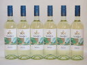 6本セット(イタリア白ワイン ボンゴ・サンレオ・ビアンコ) 750ml×6本