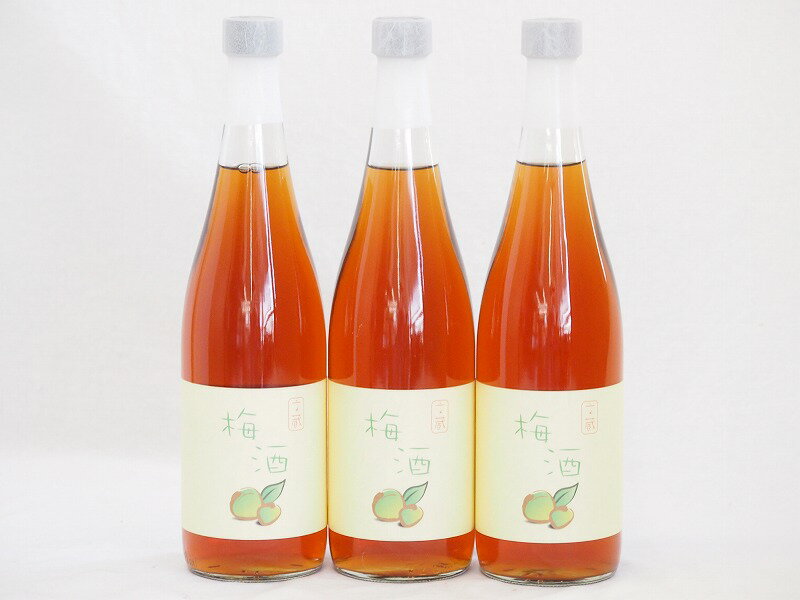 3本セット(梅酒文蔵18度(熊本県)) 720ml×3本