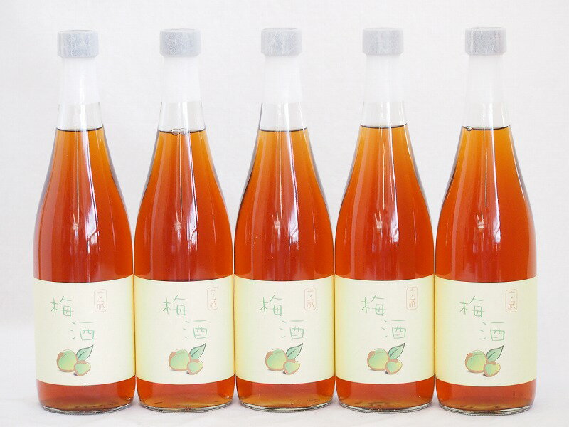 5本セット(梅酒文蔵18度(熊本県)) 720ml×5本