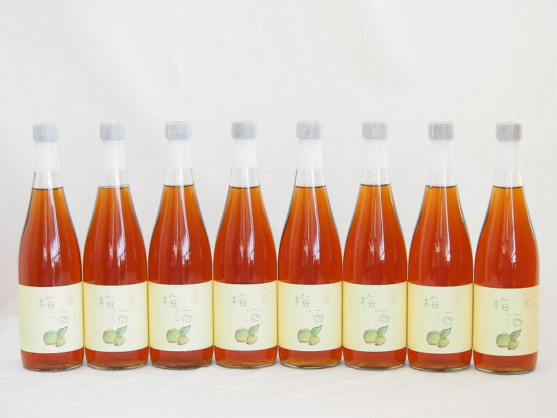 8本セット(梅酒文蔵18度(熊本県)) 720ml×8本8本セット(梅酒文蔵18度(熊本県)) 720ml×8本