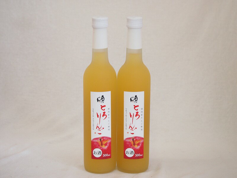 2ܥå(⻺󤴻 Ȥ󤴥ꥭ塼ξ(ʡ縩)) 500ml2