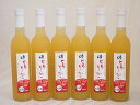 6本セット(国内産りんご使用 とろりんごリキュール奥の松(福島県)) 500ml×6本