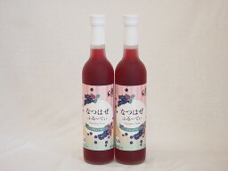 2本セット(和製ブルーベリー なつはぜふるーてぃリキュール奥の松(福島県)) 500ml×2本