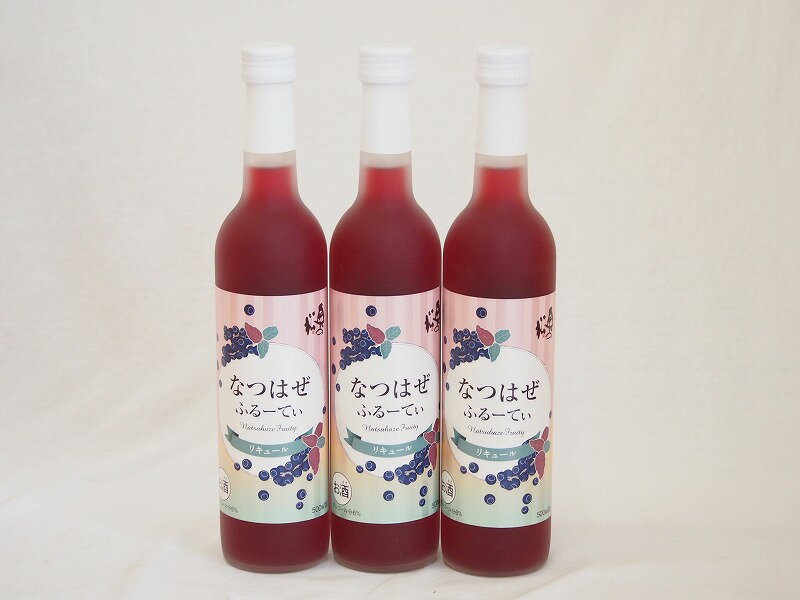 3本セット(和製ブルーベリー なつはぜふるーてぃリキュール奥の松(福島県)) 500ml×3本3本セット(和製ブルーベリー なつはぜふるーてぃリキュール奥の松(福島県)) 500ml×3本