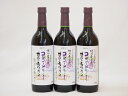 コンコード種から生まれた甘口の赤ワインセット 信州産100% 酸化防止剤無添加(長野県)720ml×3