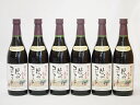 信州コンコード種 赤ワインセット 信州産100% 酸化防止剤無添加 中口(長野県)720ml×6