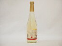 信州林檎 シードル スパークリングワイン 信州産100% やや甘口(長野県)500ml×1