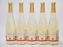 信州林檎 シードル スパークリングワインセット 信州産100% やや甘口(長野県)500ml×5