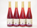 信州巨峰 スパークリングワインセット 信州産100% やや甘口(長野県)500ml×4
