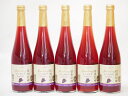 信州巨峰 スパークリングワインセット 信州産100% やや甘口(長野県)500ml×5