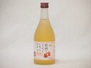 信州りんごフルーツワイン alc4% 甘口(長野県)500ml×1