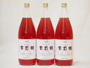 日本ワインセット 信州産葡萄棚 ロゼワインセット 中口(長野県)1800ml×3日本ワインセット 信州産葡萄棚 ロゼワインセット 中口(長野県)1800ml×3