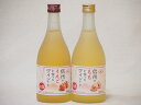 フルーツワイン 信州産フルーツワインセット りんご×1本 もも×1本 alc4%(長野県)500ml×2