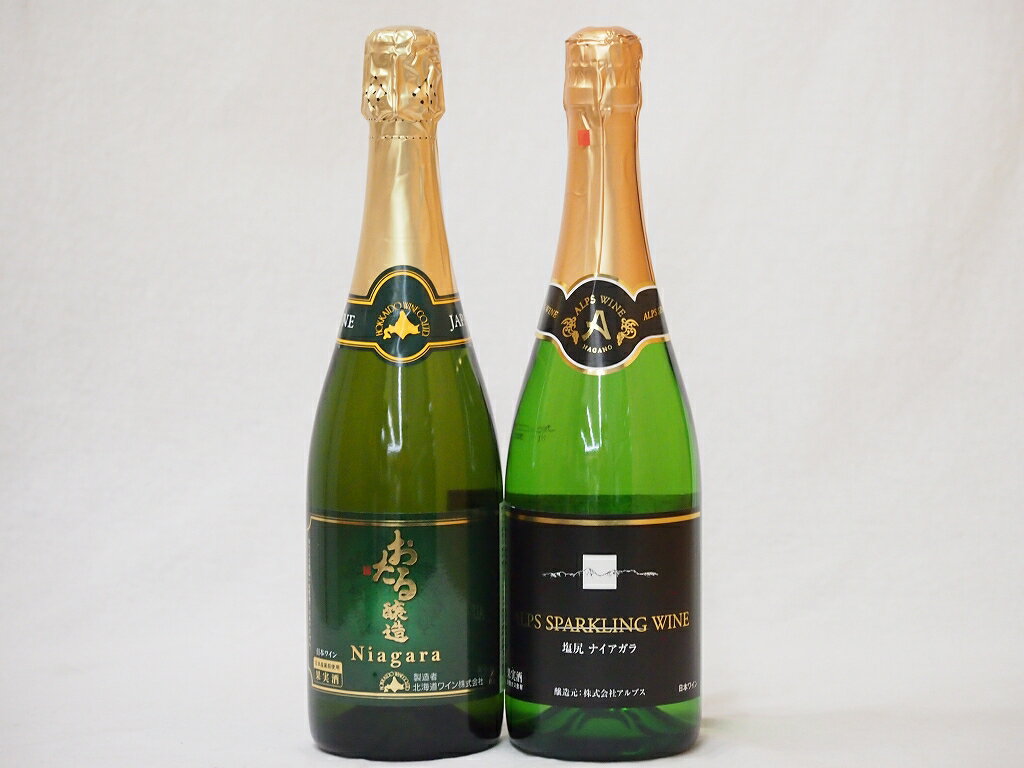 楽天贈り物本舗じざけや【最大2000円オフクーポン27日1:59迄】国産葡萄100％ナイアガラ スパークリング甘口ワインセット特集 （北海道おたる 長野県塩尻）2本