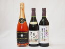 信州産100%コンコード3本セット 甘口1本 中口1本 塩尻スパークリング1本 720ml×3本セット