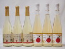 国産甘口スパークリングワイン6本セット 信州産100%林檎×3本 Cidre×3本 計500ml×6本